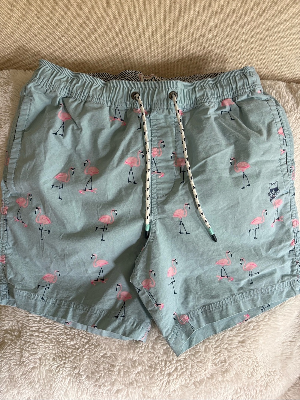Party Pants Flamingo Print Men's Swim Shorts